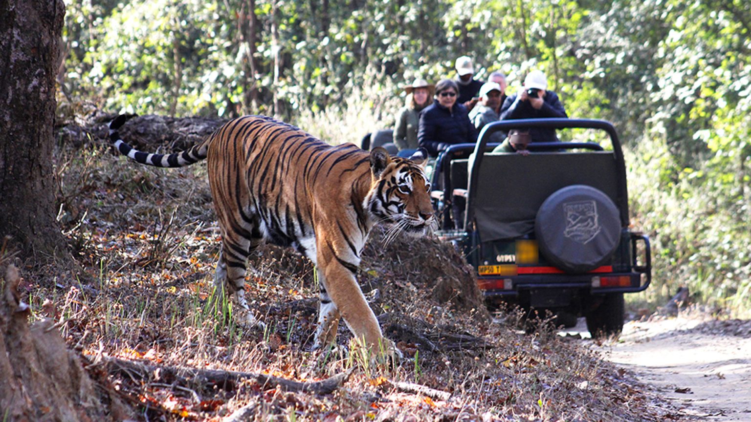 Kanha National Park