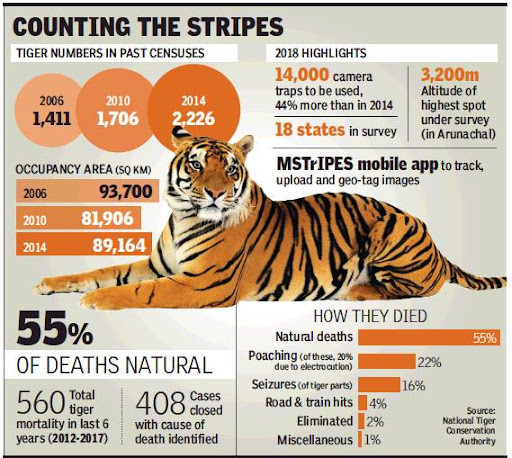 Tiger Statistics